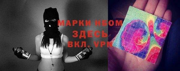 крисы Алзамай