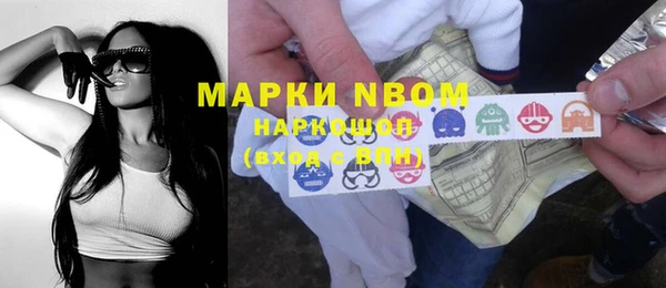крисы Алзамай