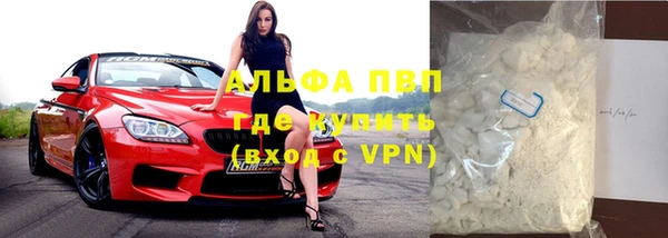стафф Алексин