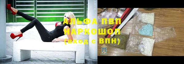 стафф Алексин