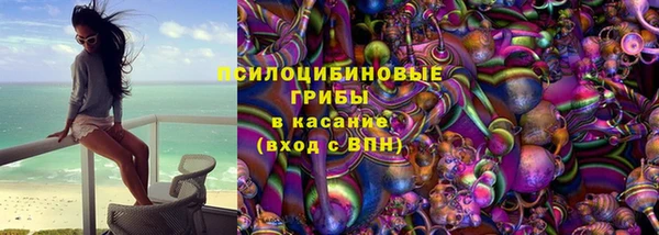 крисы Алзамай
