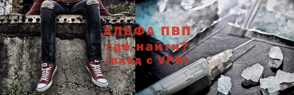 стафф Алексин