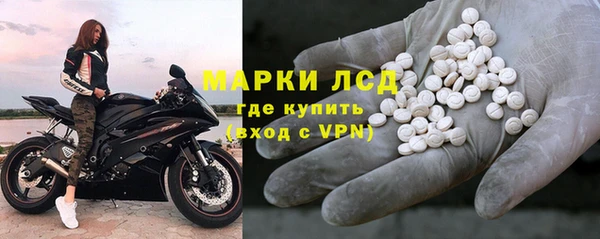 крисы Алзамай