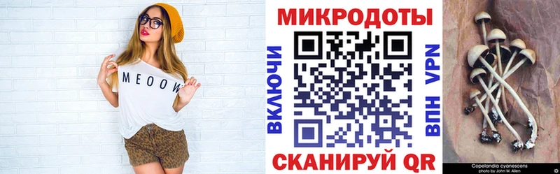 Галлюциногенные грибы Psilocybine cubensis Медынь